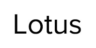 Ремонт стиральных машин Lotus в Ликино-Дулево